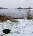 Wandeling De Paalse Plas 24-2-2013 (17)